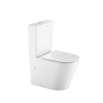 Back to Wall Toilet Suite