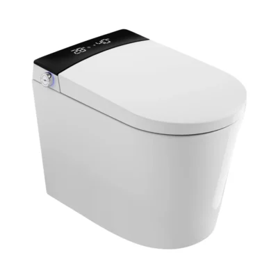 Smart Floor Mounted Toilet